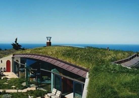 bigsurhouse-go-green-roof-skyline.jpeg